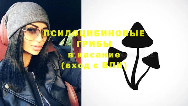 альфа пвп Елизово