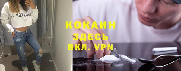 сатива Абаза