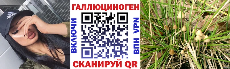 Псилоцибиновые грибы ЛСД darknet наркотические препараты Петров Вал