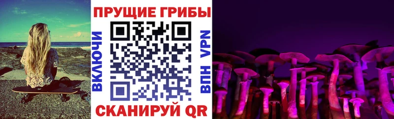 Галлюциногенные грибы Cubensis Петров Вал